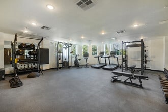 Paseo Living in Los Angeles, CA - Building Photo - Building Photo