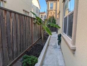 427 Silvercrown Way in San Ramon, CA - Building Photo - Building Photo