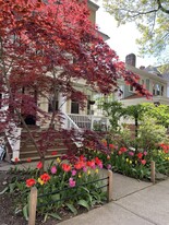403 Rugby Rd in Brooklyn, NY - Building Photo
