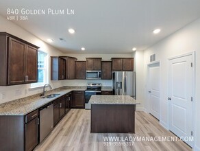 840 Golden Plum Ln in Zebulon, NC - Building Photo - Building Photo