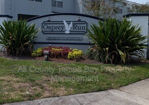 6267 Osprey Lake Cir in Riverview, FL - Building Photo