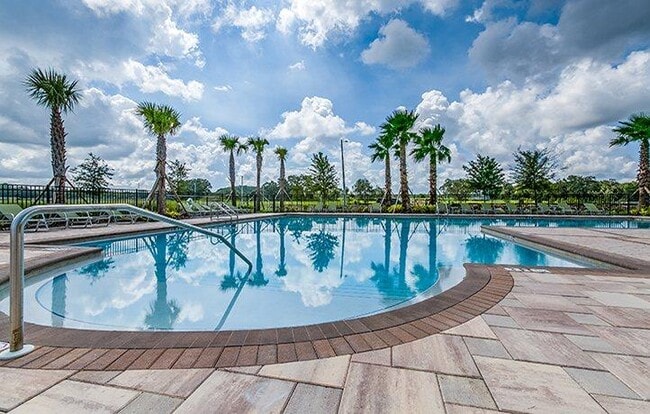 10520 Strawberry Tetra Dr in Riverview, FL - Building Photo - Building Photo