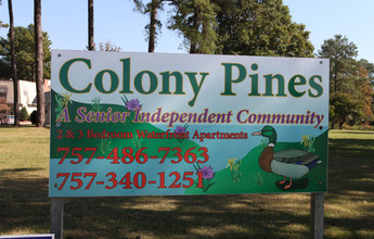 Colony Pines in Virginia Beach, VA - Building Photo - Building Photo