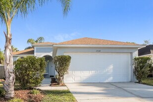 11534 Wellman Dr in Riverview, FL - Building Photo