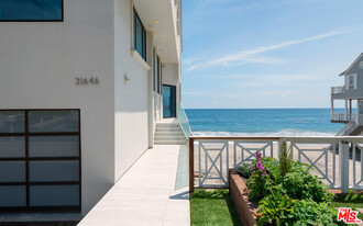 31646 Sea Level Dr in Malibu, CA - Building Photo - Building Photo