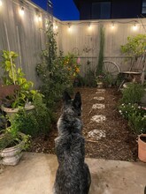 2216 1/2 Motta St in Woodland, CA - Building Photo - Building Photo