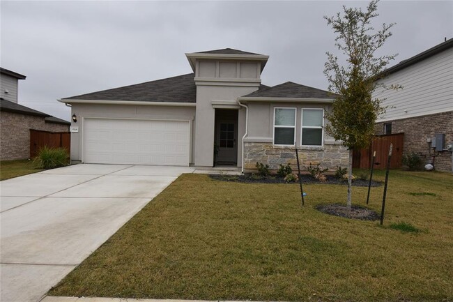 15205 Ollie Briar St in Pflugerville, TX - Building Photo - Building Photo