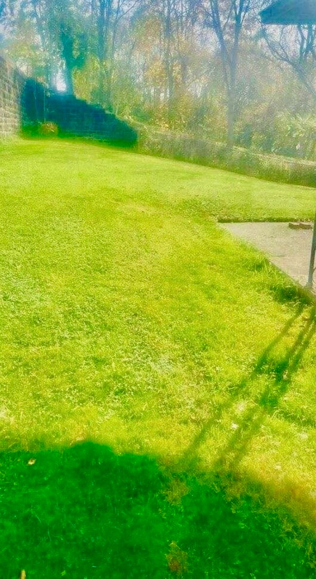 529 E Wood St in Lowellville, OH - Building Photo - Building Photo