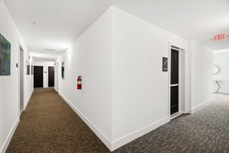 Brand New Grange Ave Luxury Apartments in Philadelphia, PA - Building Photo - Building Photo