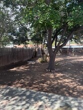 317 Quincy St NE in Albuquerque, NM - Building Photo - Building Photo