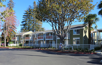 Fargo Senior Center Apartments in San Leandro, CA - Building Photo - Building Photo