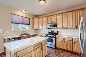 11884 Swansea Dr in Parker, CO - Building Photo - Building Photo