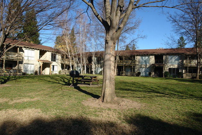 Sierra Manor Apartments in Chico, CA - Foto de edificio - Building Photo