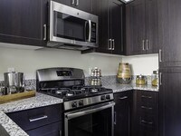 Each home is stocked with a GE Energy Star appliance package in sleek black and silver. - Skye Apartamentos in Vista, California
