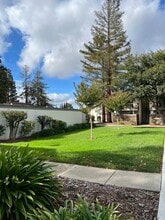 4081 Clayton Rd in Concord, CA - Building Photo - Building Photo