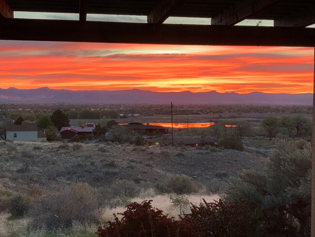 914 Patricia Ct in Fruita, CO - Foto de edificio - Building Photo