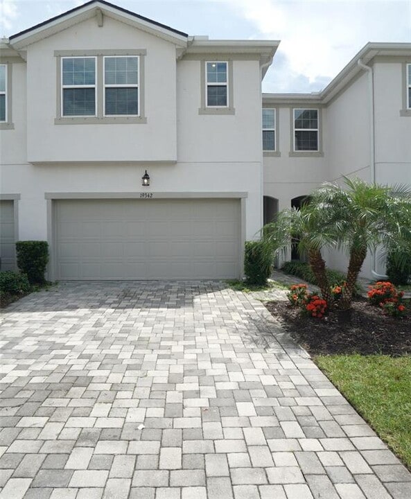 19342 Great Intention Way in Lutz, FL - Building Photo