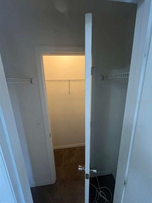 2531 Fan Palm Dr in Davenport, FL - Building Photo - Building Photo
