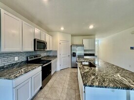 33481 Apricot Tree Ct in Wesley Chapel, FL - Building Photo