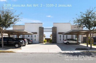 3109 Javalina Ave in Edinburg, TX - Building Photo