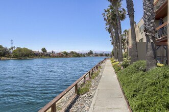 916 Beach Park Blvd in Foster City, CA - Building Photo - Building Photo