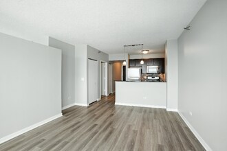 335 E Ohio St in Chicago, IL - Foto de edificio - Building Photo