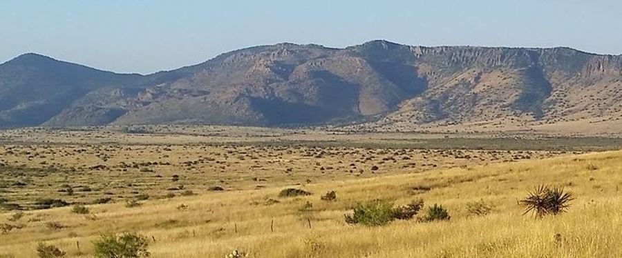 7 Peters Ln in Alpine, TX - Building Photo