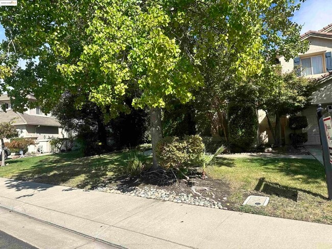 property at 1531 Siemering Way