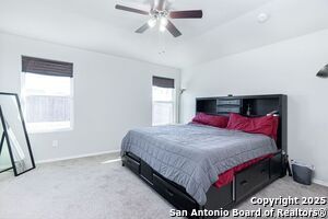 4614 Heathers Cross in Saint Hedwig, TX - Building Photo - Building Photo