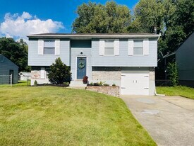 11019 Neptune Pl in Louisville, KY - Building Photo