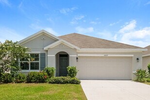 10222 Cloudburst Ct in Riverview, FL - Building Photo