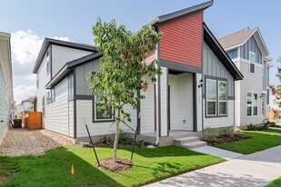 5302 Mulberry Grove Ln in Austin, TX - Building Photo