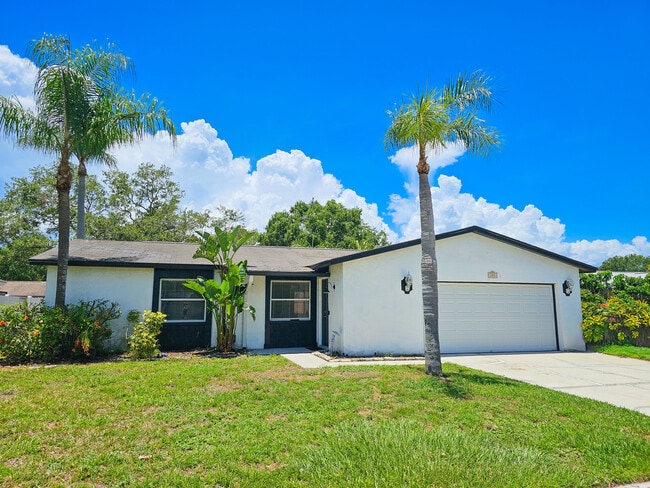 608 Tangerine Dr in Oldsmar, FL - Building Photo - Building Photo