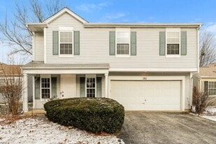 181 E Big Horn Dr in Hainesville, IL - Building Photo