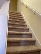 2950 Willowleaf Ln in Wesley Chapel, FL - Building Photo - Building Photo