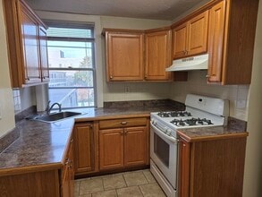 341 Cambridge St, Unit 2 in Cambridge, MA - Building Photo - Building Photo