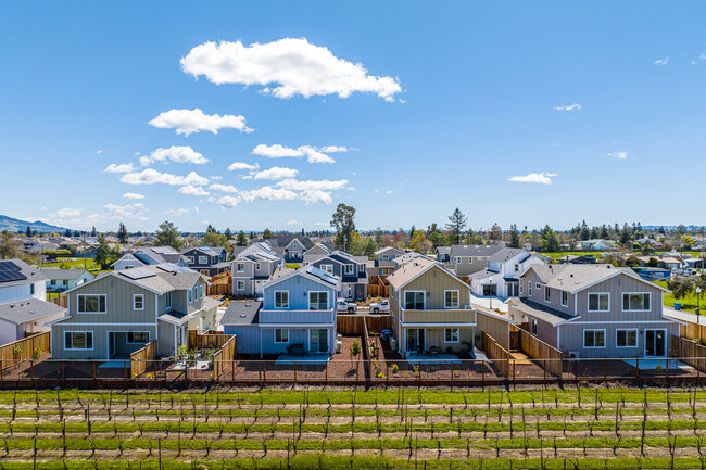 The Vineyards at Dennis Lane in Santa Rosa, CA - Building Photo - Building Photo