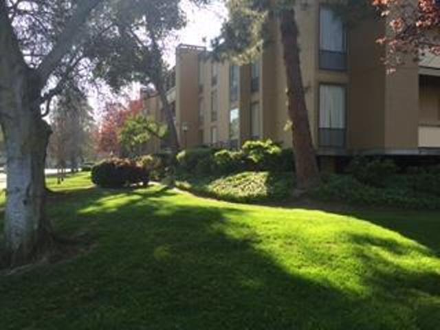 1061 Beach Park Blvd, Unit 316 in Foster City, CA - Building Photo