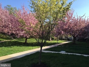 4920 Bradley Blvd in Chevy Chase, MD - Building Photo - Building Photo