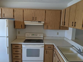 2950 Wainwright Ct in New Port Richey, FL - Building Photo - Building Photo