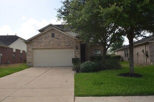 915 Butterfly Ln in Rosenberg, TX - Building Photo