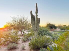 19838 N 84th St in Scottsdale, AZ - Building Photo