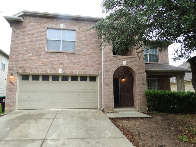 property at 10619 Barbwire Pass