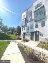 14431 Gln Mnr Dr in Chantilly, VA - Building Photo