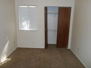 1606 Waterloo Tr in Austin, TX - Building Photo - Building Photo