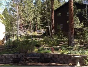 368 Terrace View Dr in Stateline, NV - Building Photo - Building Photo