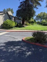 1041 Grebe St in Foster City, CA - Building Photo