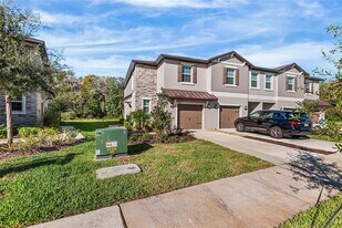 17514 Nectar Flume Dr in Land O Lakes, FL - Building Photo