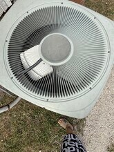 1347 E Prairie Ave in Decatur, IL - Building Photo - Building Photo