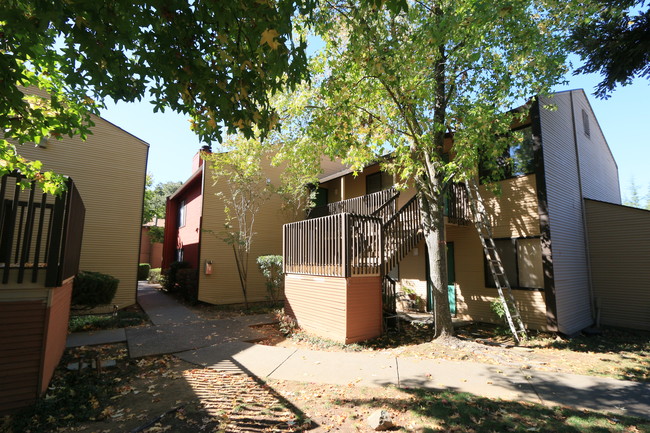 Cambridge Gardens in Cameron Park, CA - Foto de edificio - Building Photo